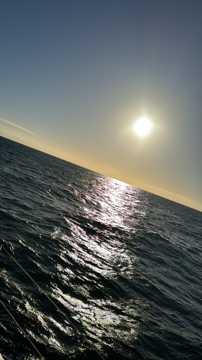 01C36D05-0AE6-4E87-8C94-83C686ADAEEC_1_105_c.jpeg