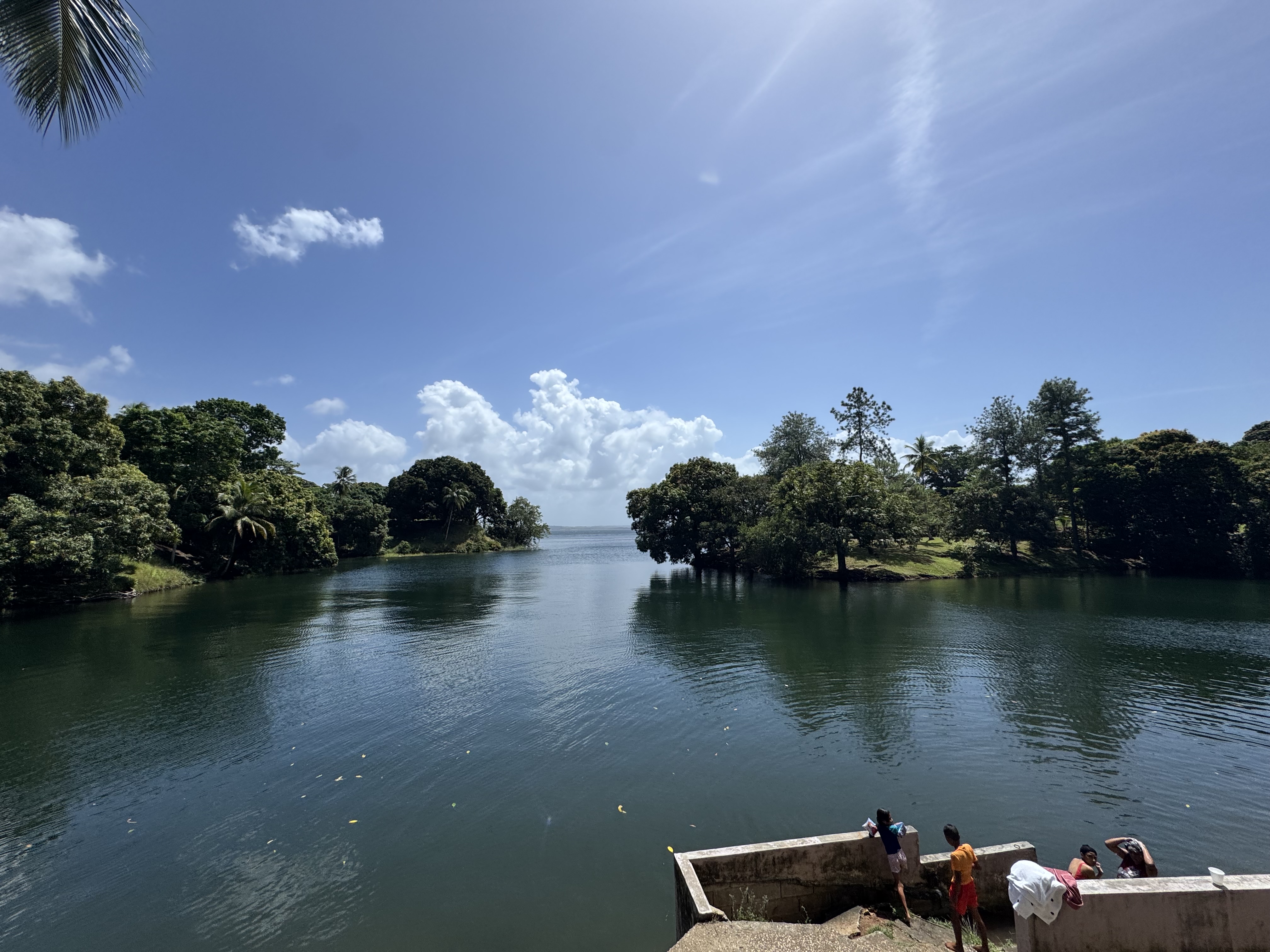 IMG_1906.jpeg
