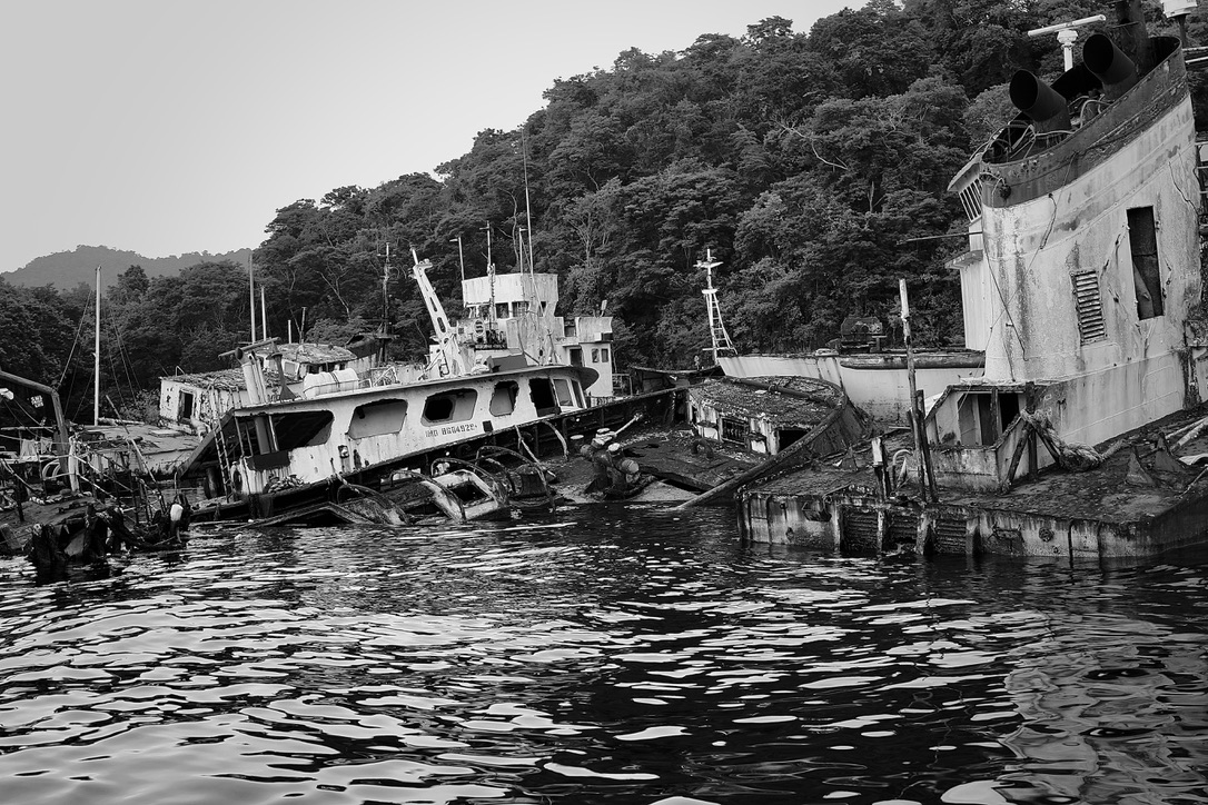1445EBC4-A635-4CF7-A59F-F09C1C0804A0_1_105_c.jpeg
