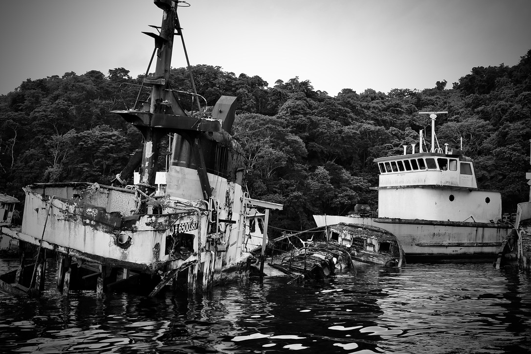 4E9A5127-78F4-40B7-95DE-694D4D68B247_1_105_c.jpeg