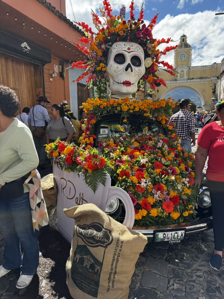 B7D27594-92A0-42C0-9B73-EDD9A5AF0983_1_105_c.jpeg