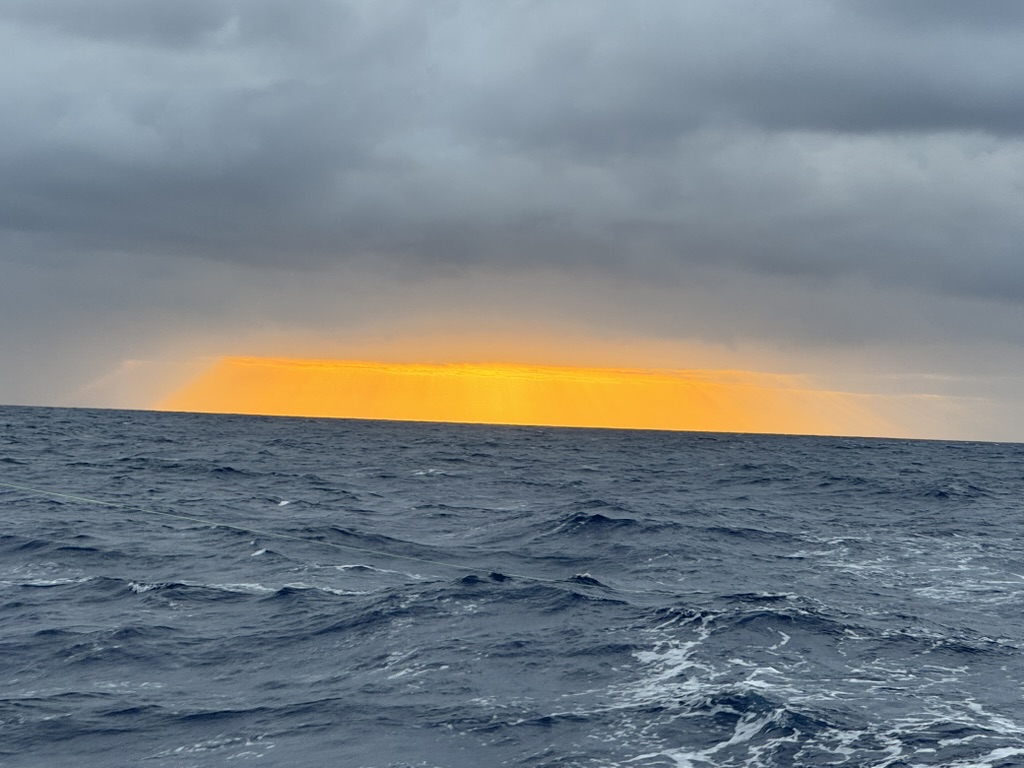 1749D207-3B30-4735-89A6-5BE2F00A0DEA_1_105_c.jpeg