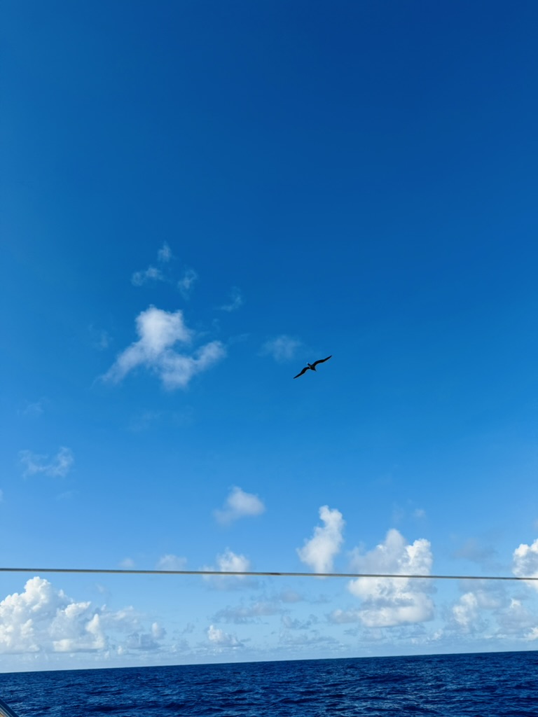 FE7167C9-B296-4313-8A7E-ABFD0DDCA3C5_1_105_c.jpeg