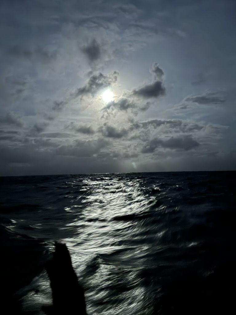 84FA594B-DE0A-4A3D-A26C-C7E2CF35ABAB_1_105_c.jpeg