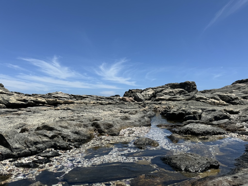 6507AA3D-1637-464C-A317-F7C058D5C08B_1_105_c.jpeg