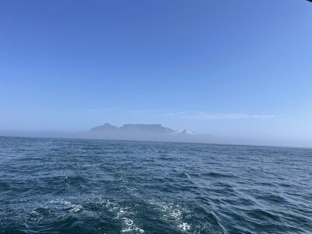58E39523-36DF-4374-AD16-9AED1CC4530D_1_105_c.jpeg