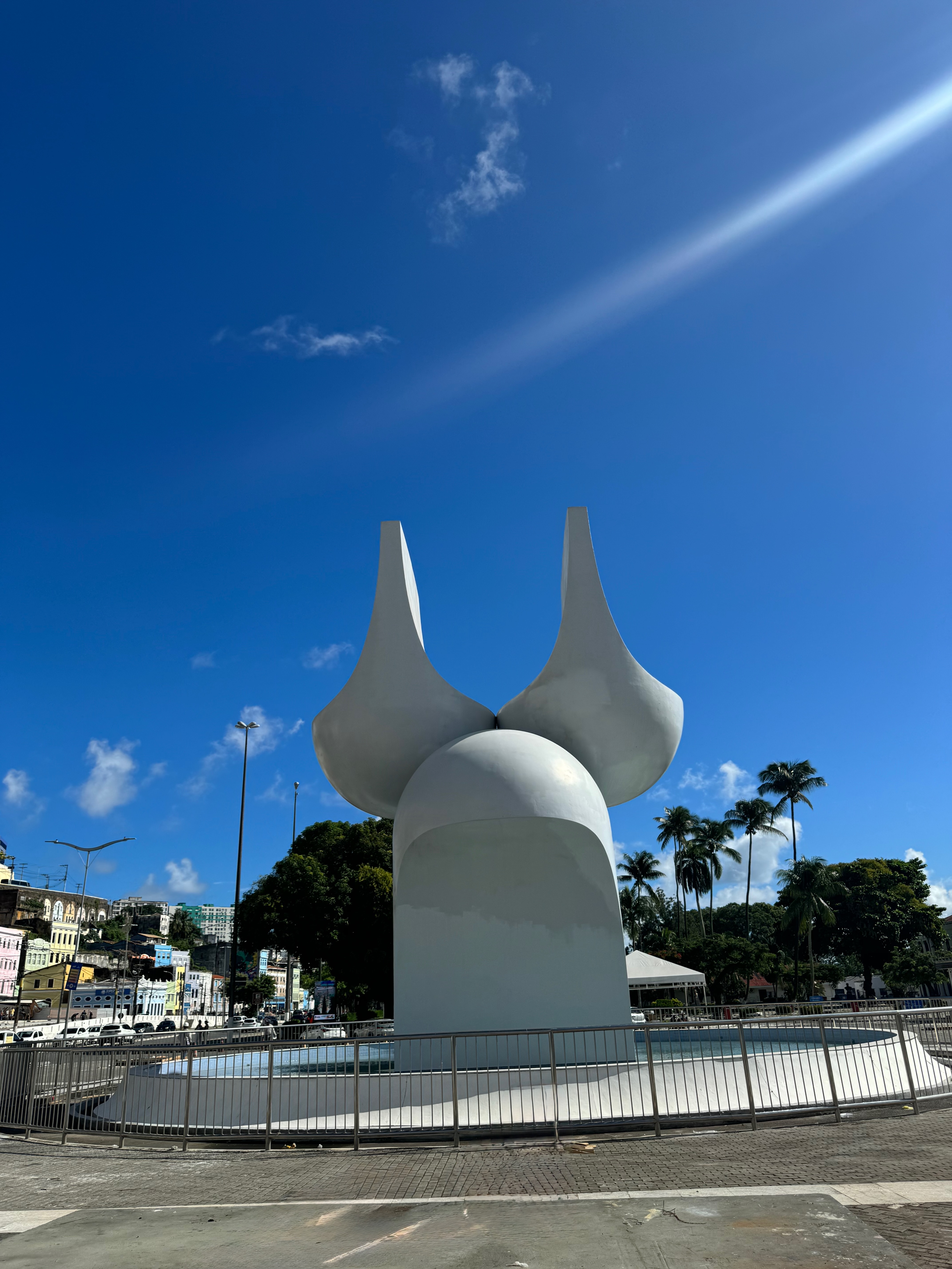 IMG_8954.jpeg
