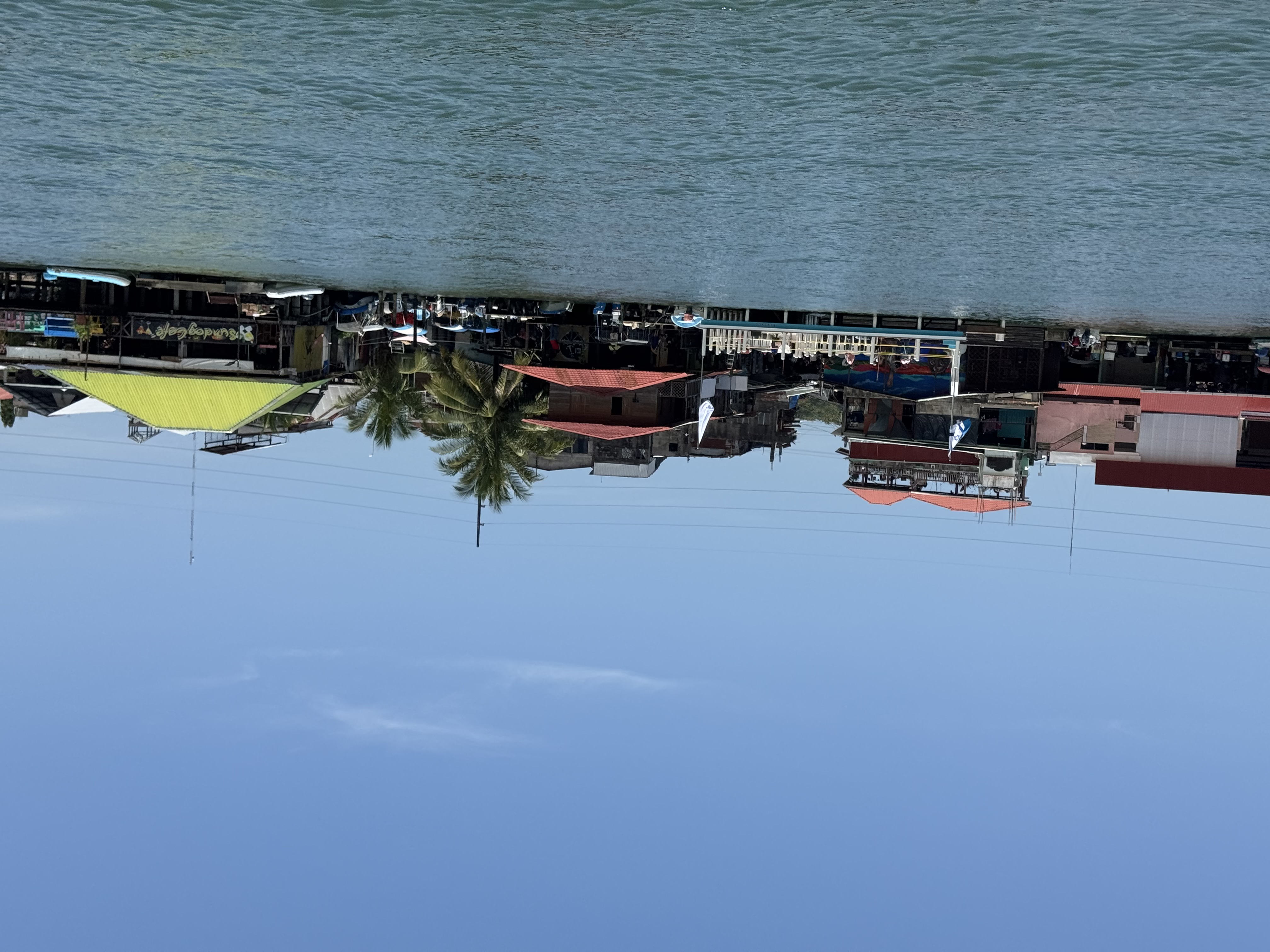 IMG_6817.jpeg