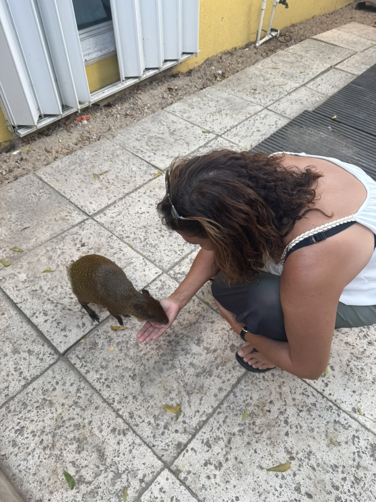 E6DF8CE6-2D01-4520-92E8-CF66AC34D7D4_1_105_c.jpeg