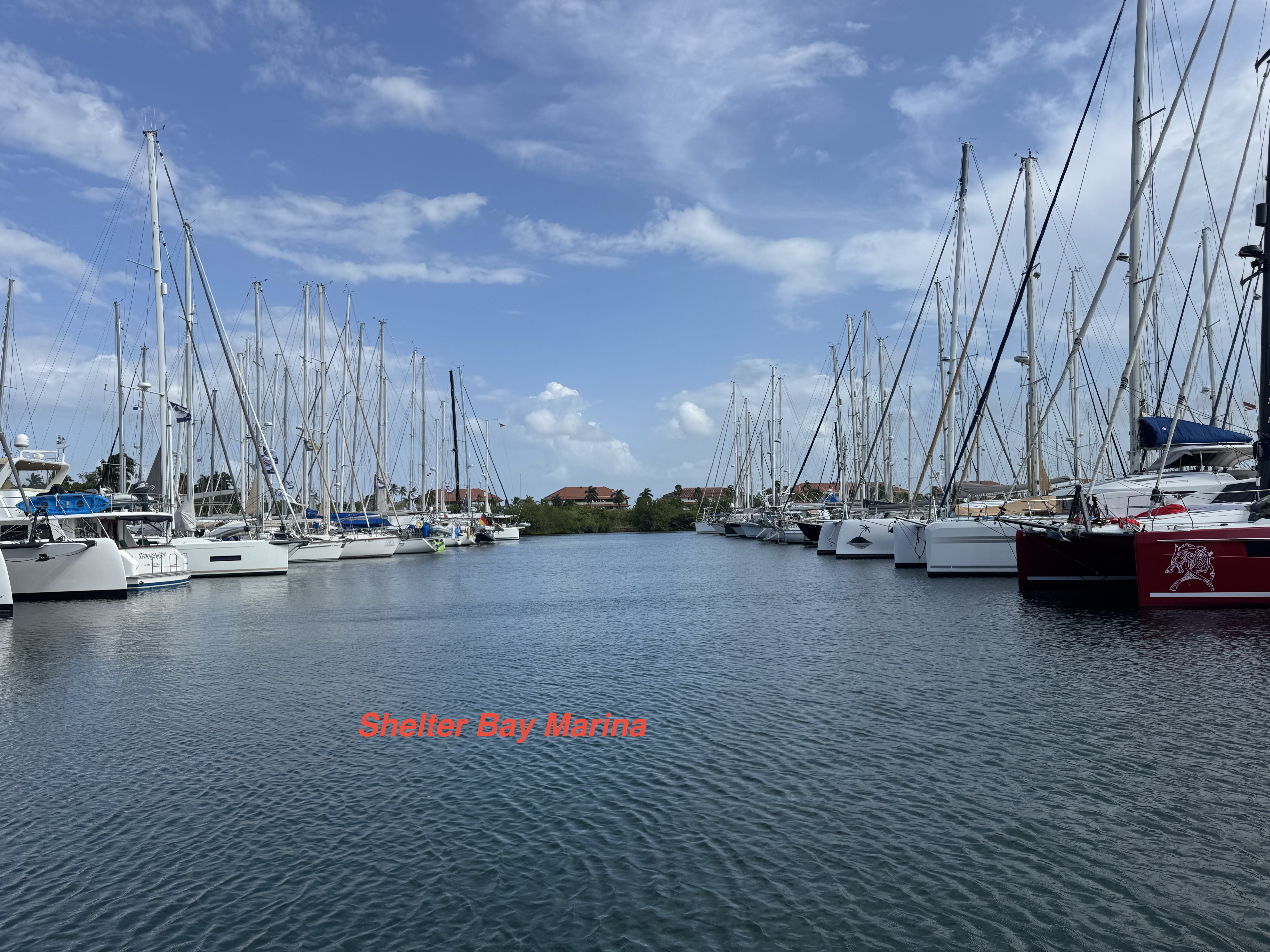 IMG_3737.jpeg