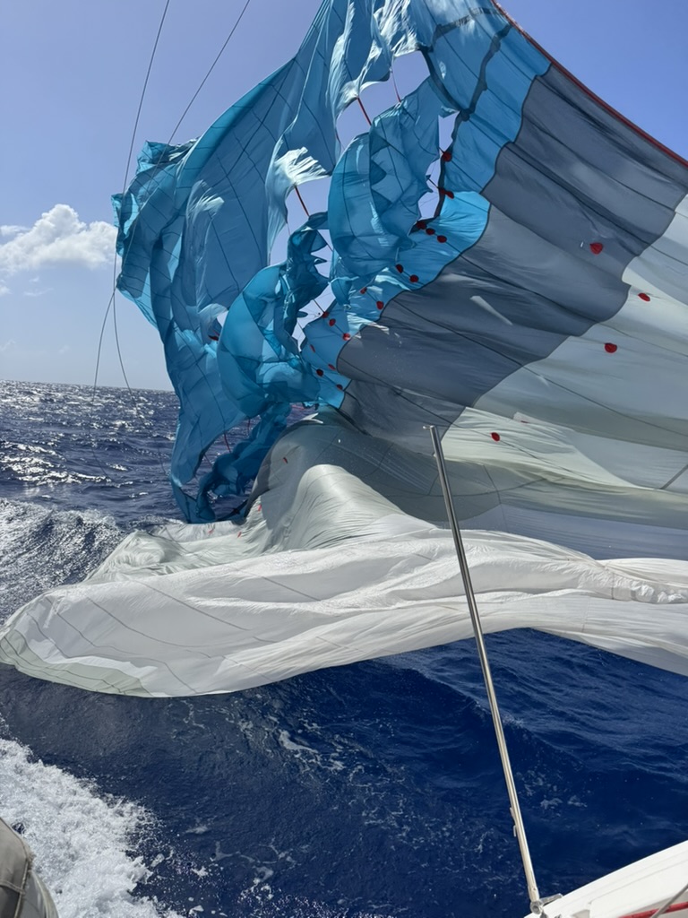 E46FA8ED-AD74-4DD8-B6BB-1A06B35E2E96_1_105_c.jpeg