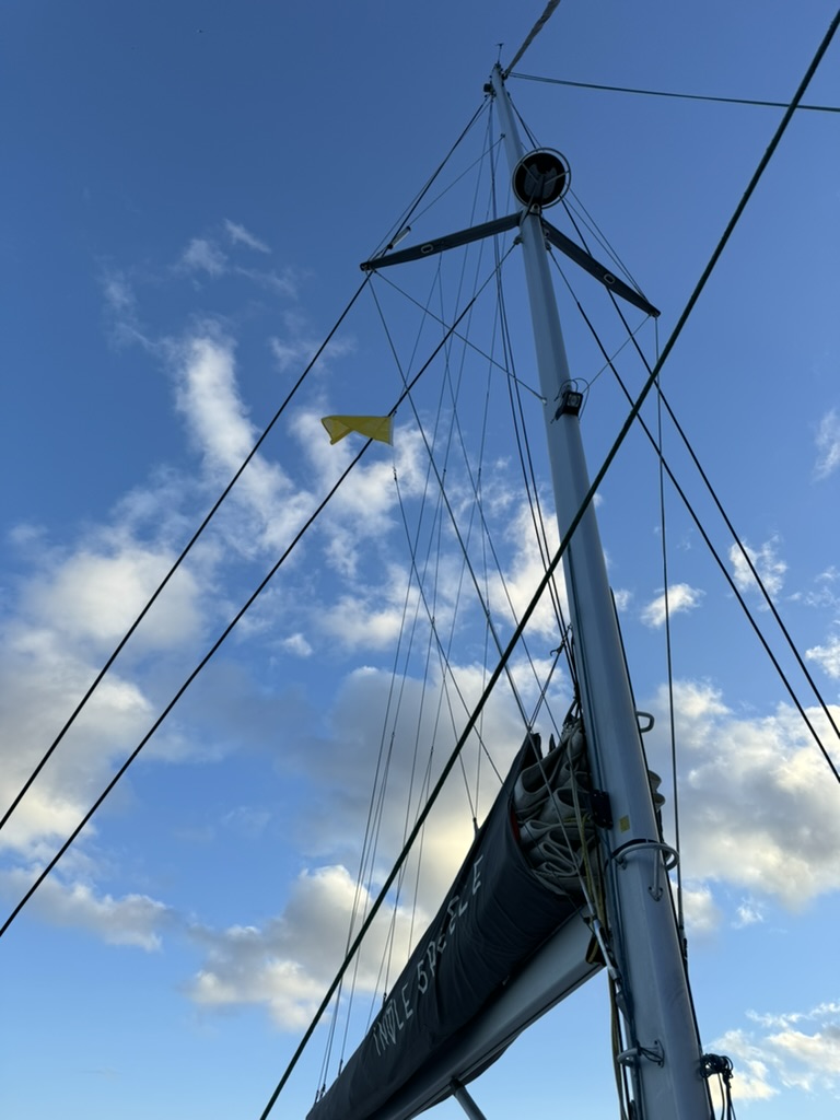 C6CDA86F-0260-45E8-B0EC-DC85B92F9026_1_105_c.jpeg