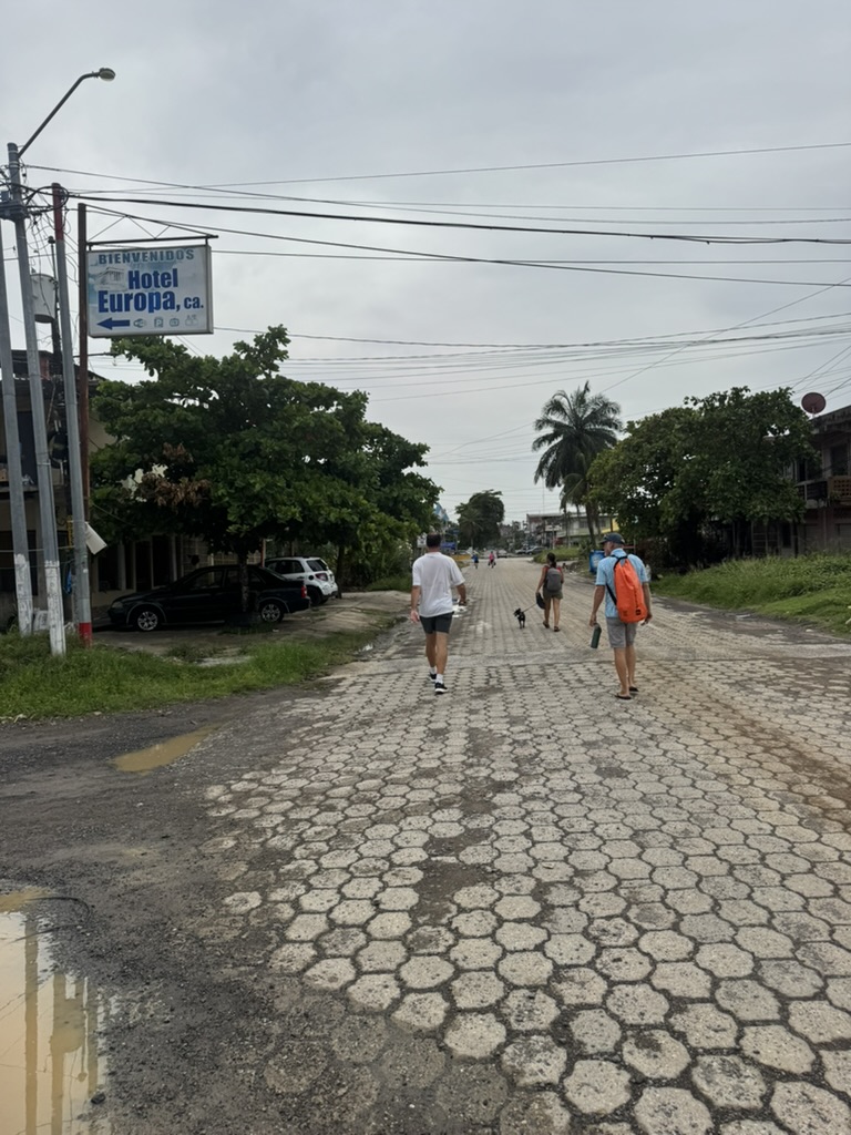 71EEF345-E7E1-43B0-A5C9-461199F5946F_1_105_c.jpeg